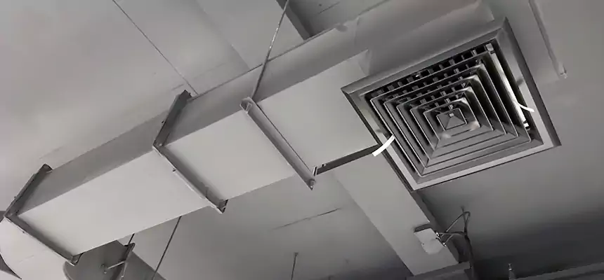 Restorative Allergy Relief Vent Cleaning – Coil, Blower & Housing Detail in Lincoln