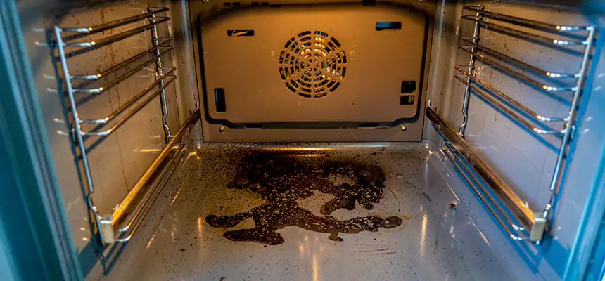 Our Dryer Vent Mold Cleaning Services in Lincoln, CA