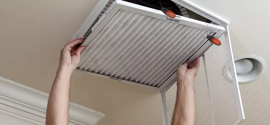 Our Insect Removal from Air Ducts Services in Lincoln, CA