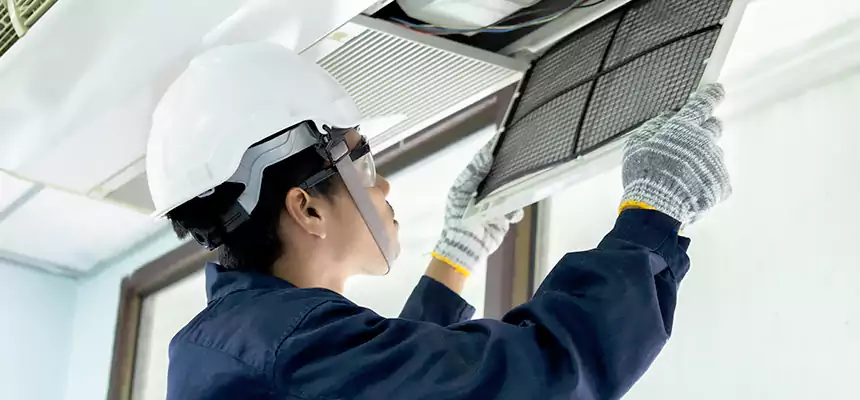 Our Mold & Mildew Removal from Air Ducts Services in Lincoln, CA