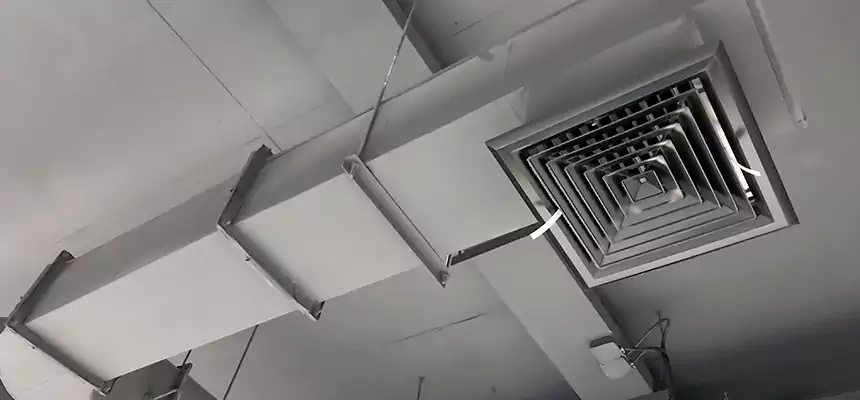 Our Pest Removal From Ducts Services in Lincoln, CA