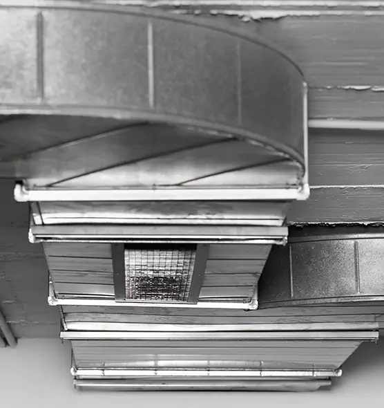 Professional Air Duct Pest Removal in Lincoln, CA