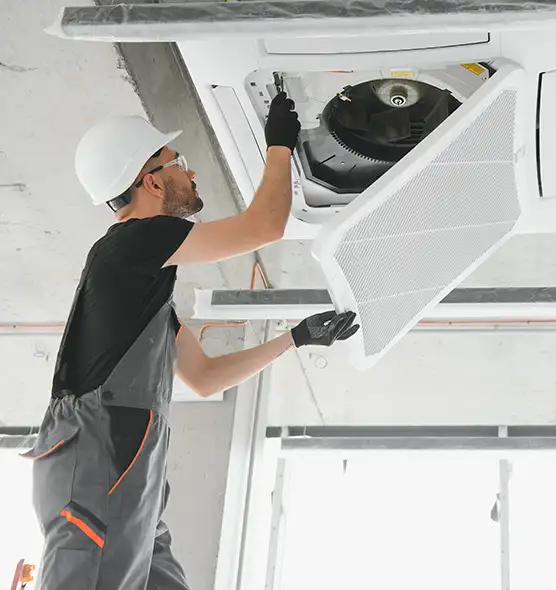 About Air Duct Rodent Removal in Lincoln, CA