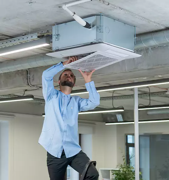 Advanced Rodent Droppings In Vents in Lincoln, CA