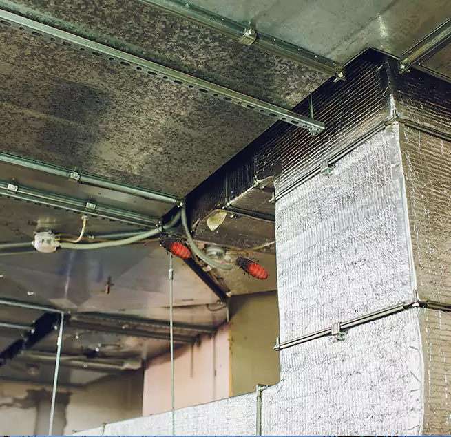 Why Homeowners & Businesses Trust Us in Lincoln, CA?