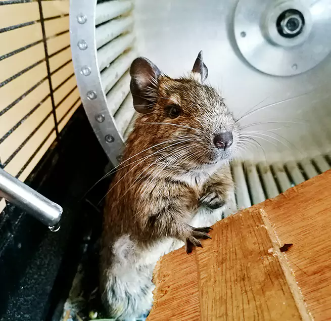 Why Homeowners & Businesses Trust Us Lincoln, CA