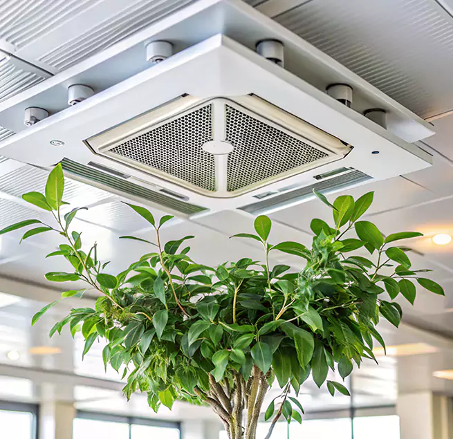 Why Homeowners & Businesses Trust Us in Lincoln, CA?